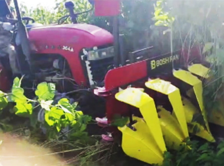 z6com人生就是搏4GL-5A桑麻收割机